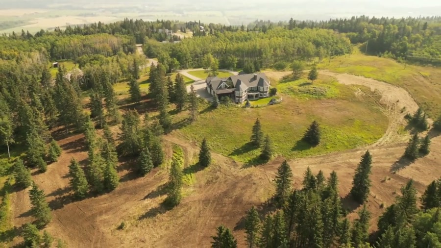 The house on its ridge, surrounded by spruce, with prairie fading into haze behind it