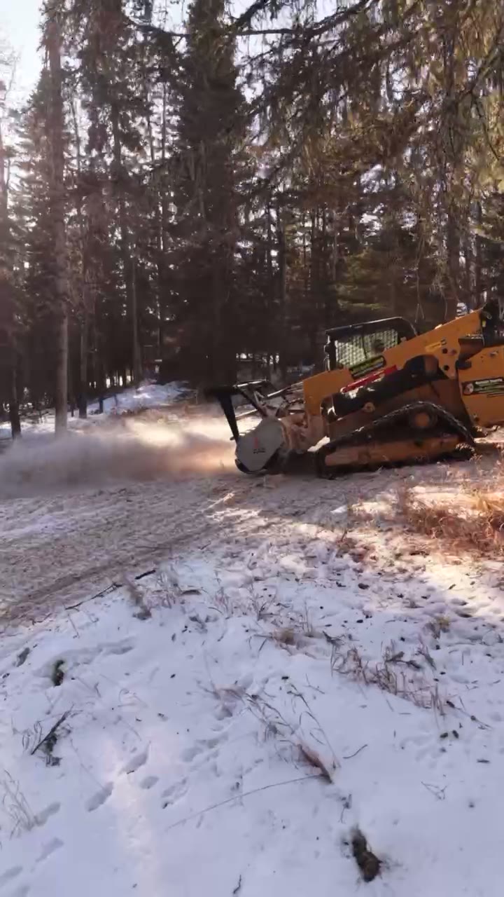 A mulcher working a snowy tree line